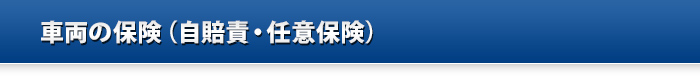 車両の保険（自賠責・任意保険）